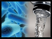 LEGIONELLAWEB.ES